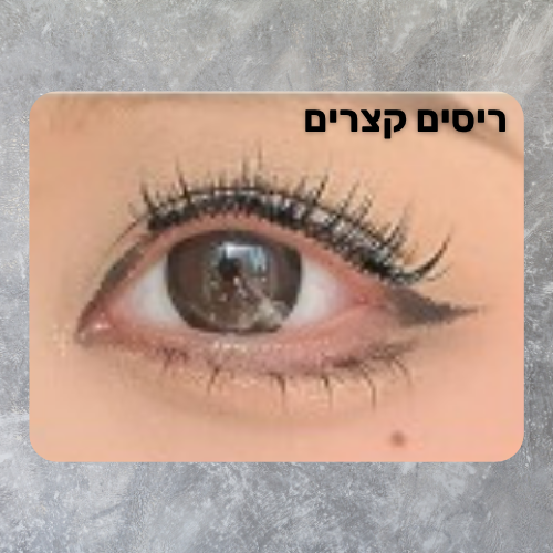 הריסים המגנטיים של ANSRO